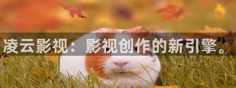 日本电影光棍影院